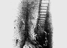 Untitled b/w autolithography 90 x 60 cm 1984